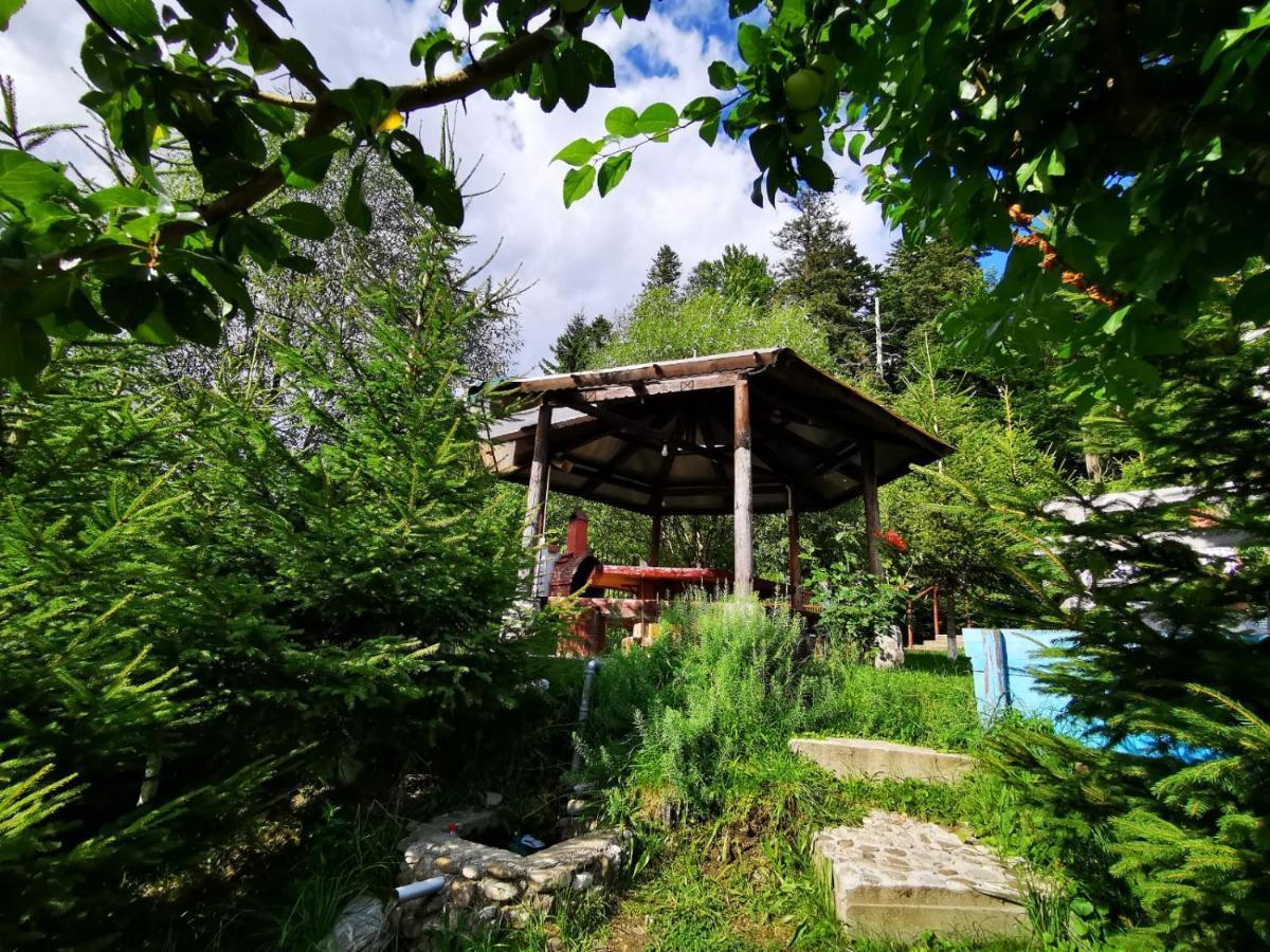 Vila Alunis Busteni Exterior photo